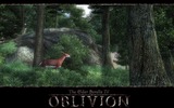 _hgoblivion2